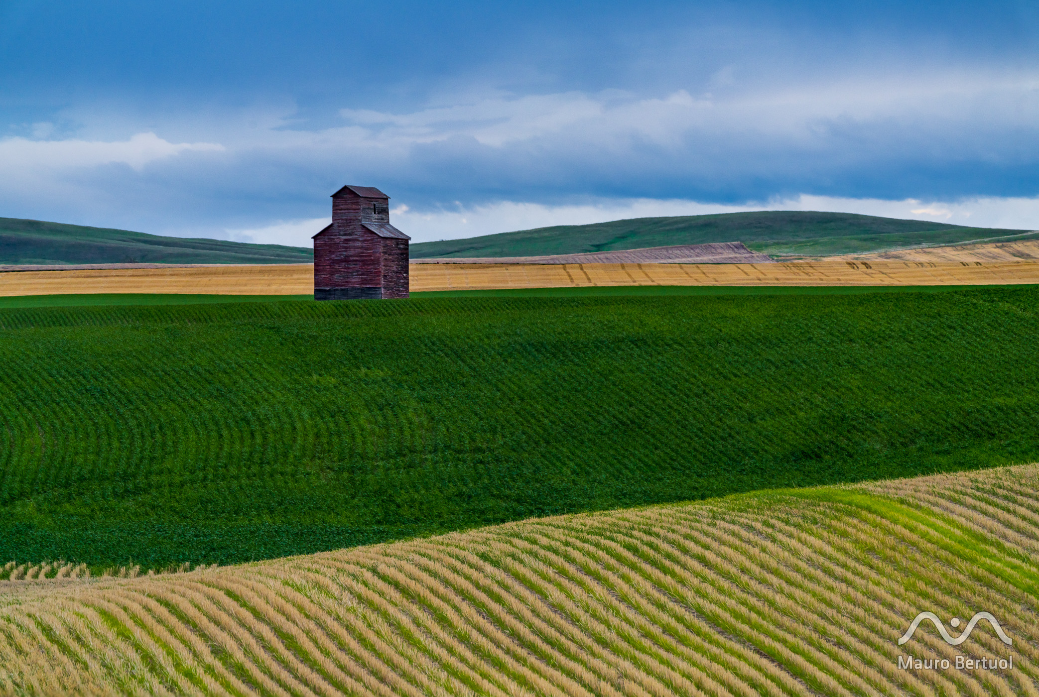 Old grainery, Dutton, 