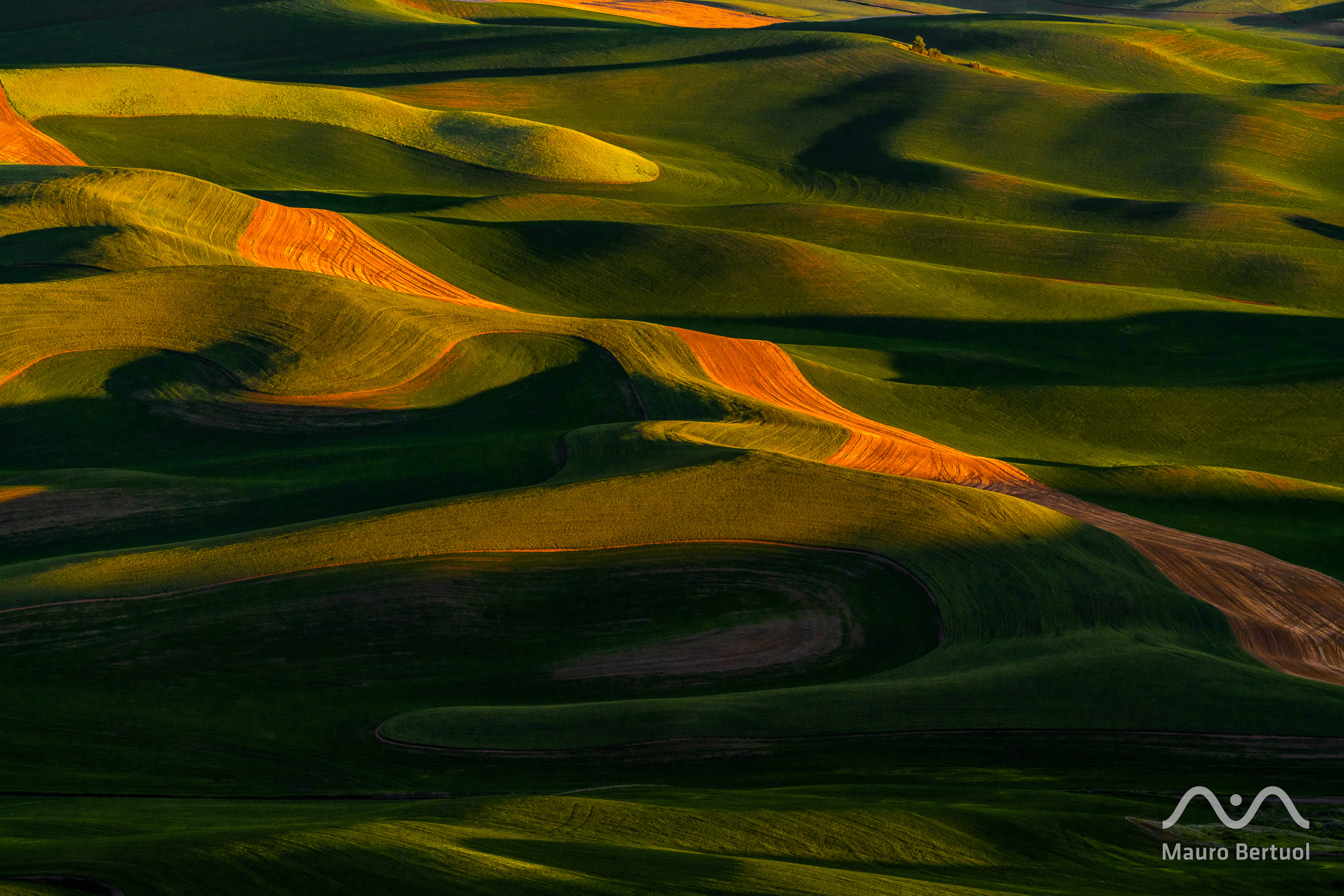 Sunrise at the Rolling Hills of Palouse as seen from Steptoe Butte State Park, Oakesdale