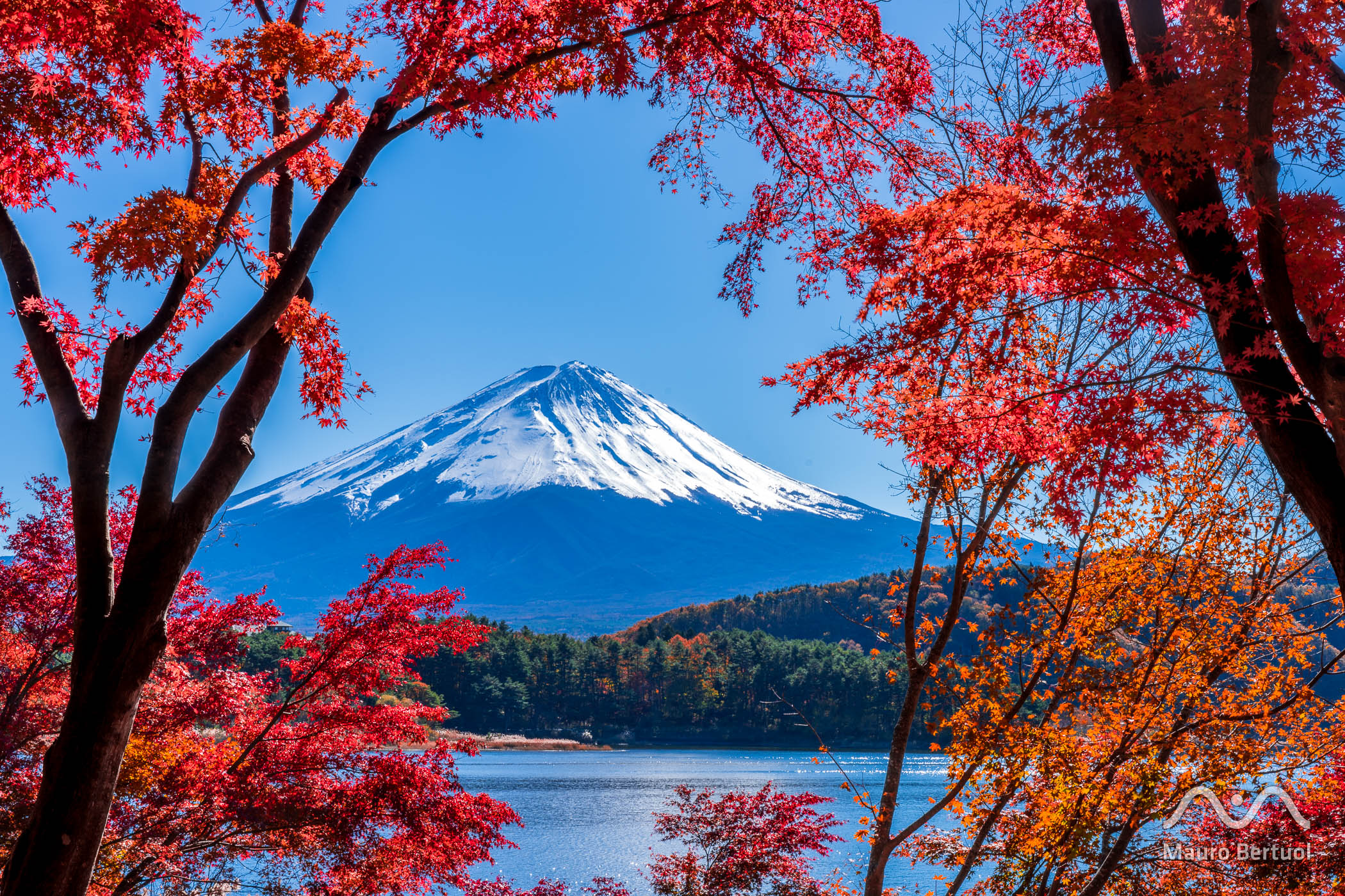 Mount Fuji at Lake Kawaguchi, Yamanashi