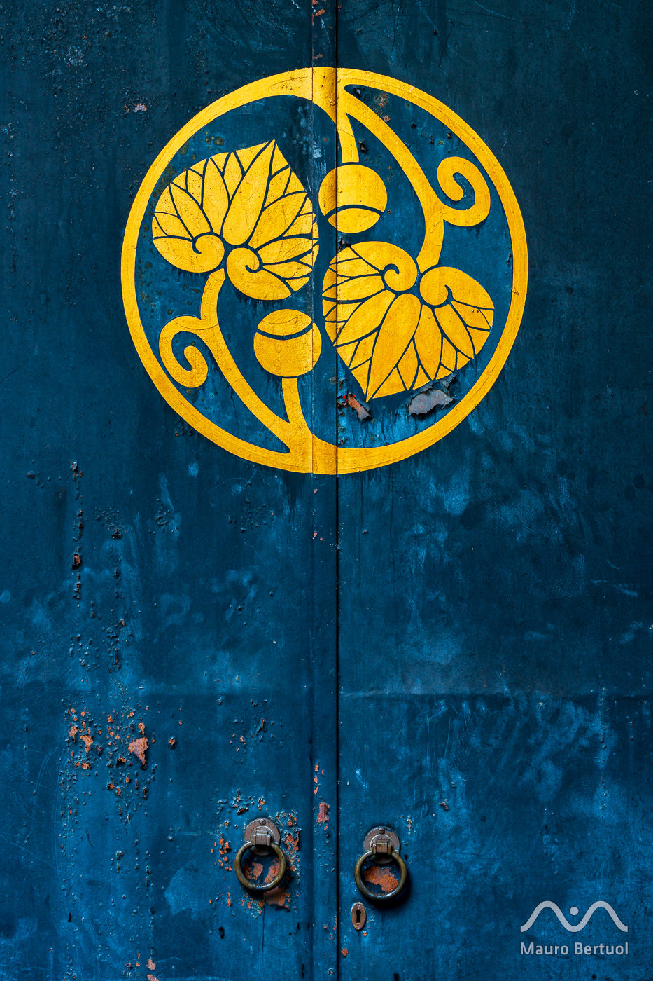 Temple storage door, Yasaka Shrine, Chiyoda City, Tokyo 